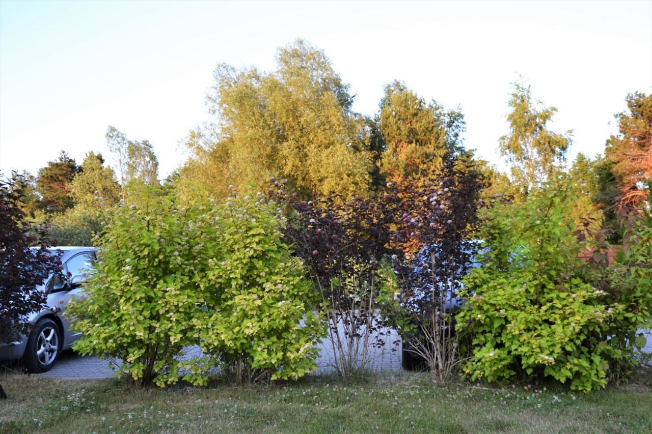 Domki Holenderskie ,, Latajacy Holender" Debki Exterior photo