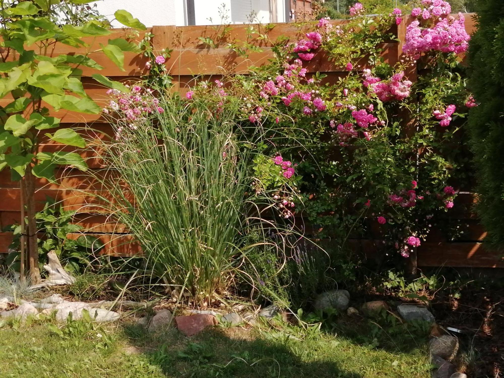 Domki Holenderskie ,, Latajacy Holender" Debki Exterior photo